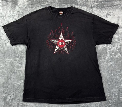 Vintage harley davidson 2004 - vintage,