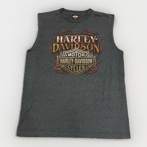 Y2k 2004 harley davidson - 2004,