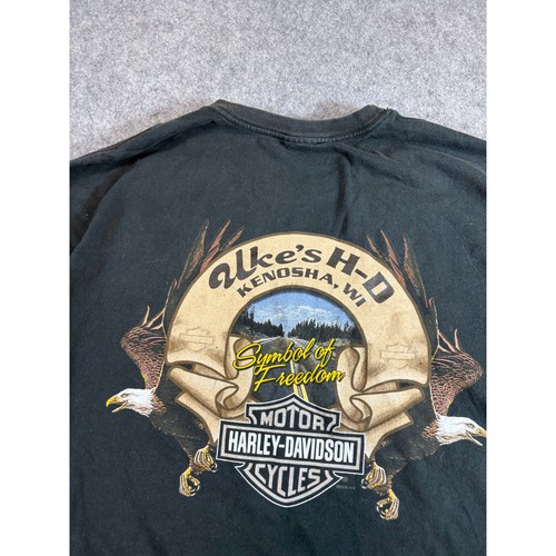 Harley davidson running with - running,