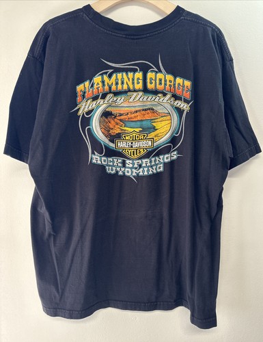 Harley davidson flaming gorge - harley,