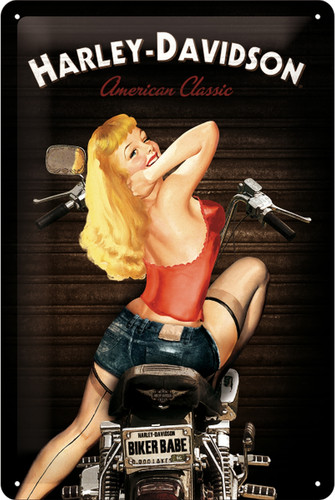 Nostalgic art tin sign - art, harley