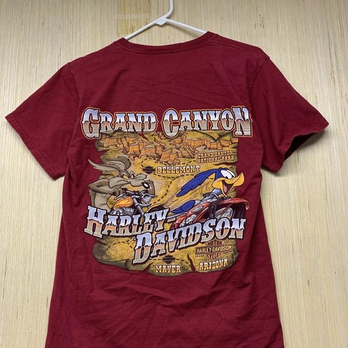 Harley davidson shirt adult - harley,
