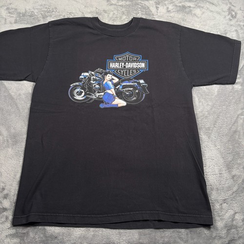 Vintage 2005 harley davidson - 2005,
